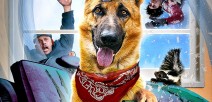 Step Dogs Coming Soon DVD