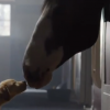 cuttest-superbowl-commercial-ever-0130-1