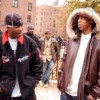 bleek-1