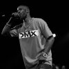 DMX-1