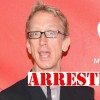 andy-dick-arrested-stealing-necklace-1108-2