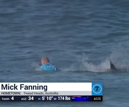 pro-surfer-mick-fanning-attacked-by-2-sharks-0719-7