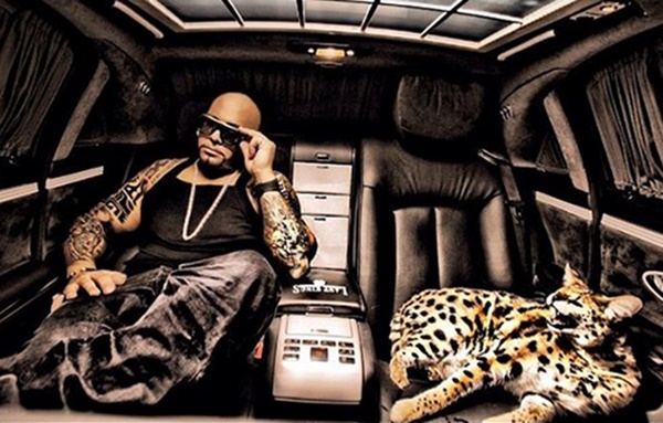 Mally Mall + Swae Lee Exotic Animals Taken to Special Facilities