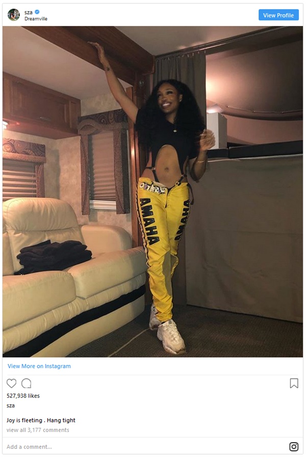 SZA Posts Absurd Captions; What's Going On