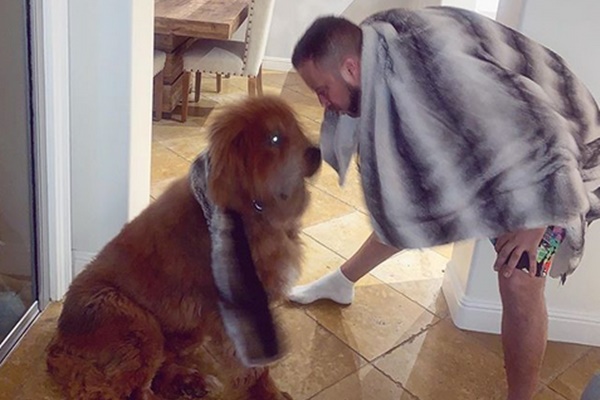 French Montana Sued After his Dog Viciously Attacks Another Person
