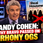 Andy Cohen: Why Bravo Passed on RHONY OGs