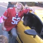 Bear in Lamborghini Stops Traffic in HB?