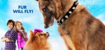 Step Dogs Great Family Fun For The Holidays