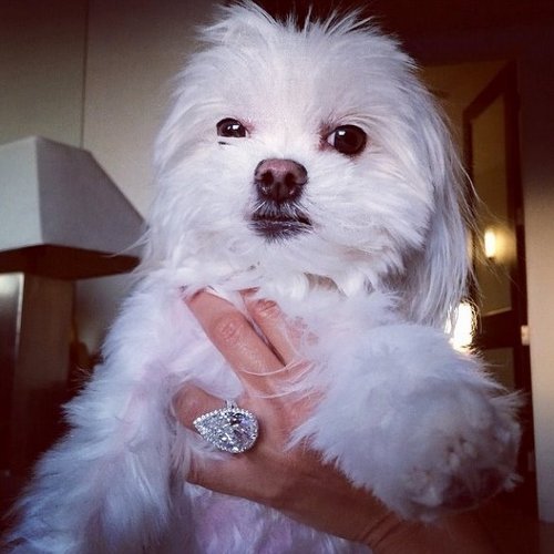 The Dish On Lilly Ghalichi Rare Engagement Ring