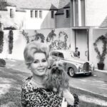 Happy 99th Birthday Zsa Zsa Gabor