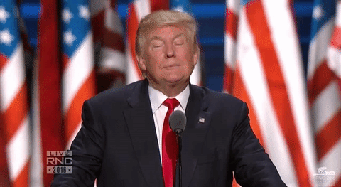 Donald Trump Already Back Tracking on Campaign Promises