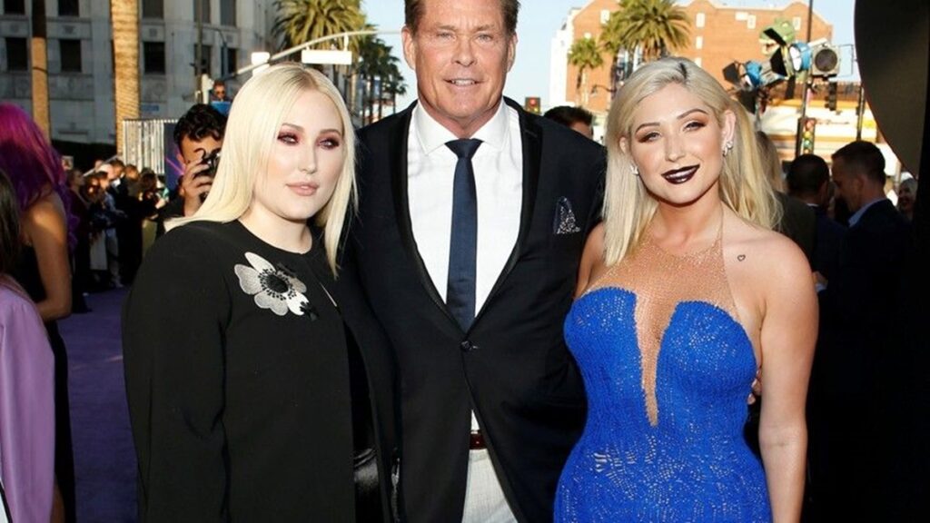 Hayley Hasselhoff Lands DUI Charge