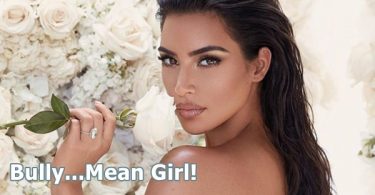 Kim Kardashian Stark Raving Mad or Just Social Media Bullying