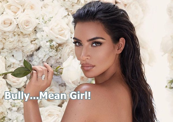 Kim Kardashian Stark Raving Mad or Just Social Media Bullying