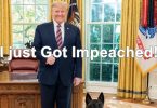 President Trump Impeached By The House