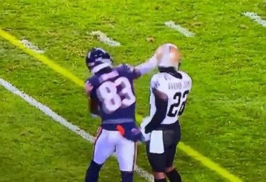 Bears Javon Wims SUCKER PUNCHES Chauncey Gardner Johnson