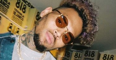 Chris Brown Sued After Ex-Housekeeper Was Mauled By His Dog