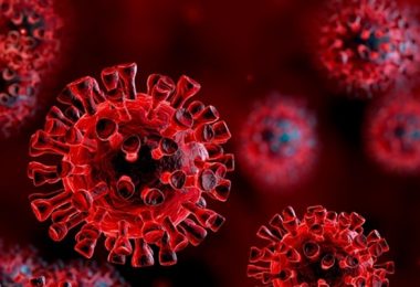 COVID Virus Update: What's Happening In The U.S.A