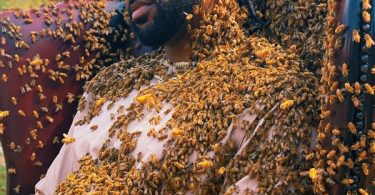 Big Sean Covered By 65,000 Bees For "What a Life" Video