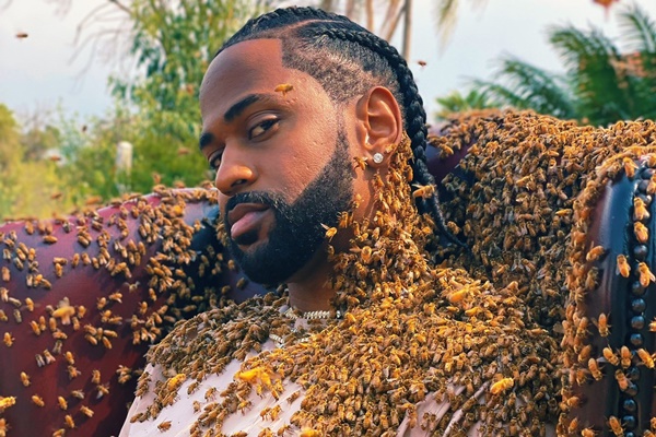 Big Sean Covered By 65,000 Bees For "What a Life" Video