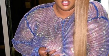 Lizzo Unapologetic About See-through Sheer Fishnet Dress