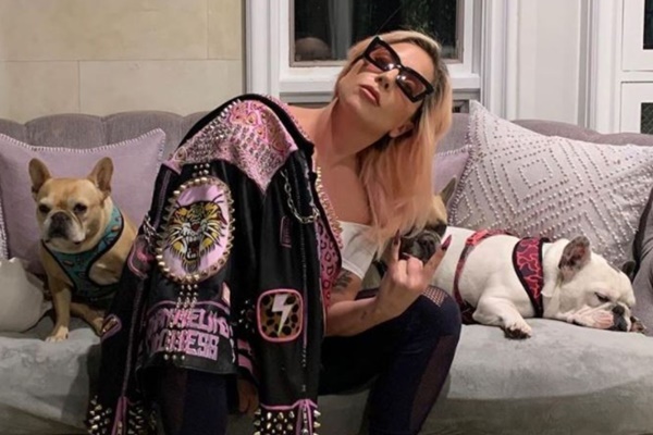 Lady Gaga Dognapper Sentenced to 21 Years in Jail