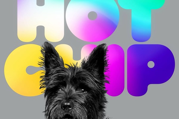 Hot Chip A Long Way From Kansas: Ninth Album Announced With a JD Twitch Tribute Single